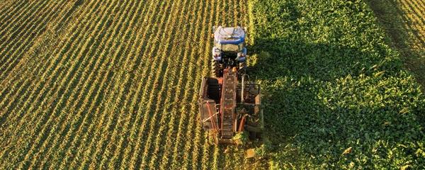 農業的主要產業形式及其組成